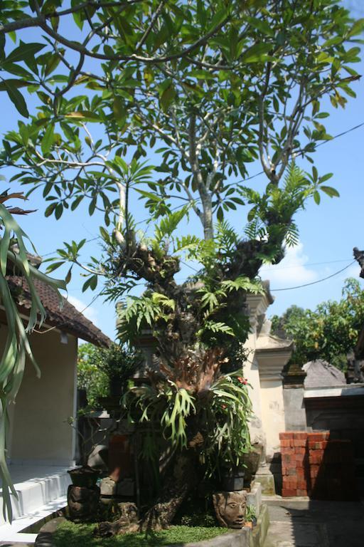Nugraha Guesthouse 1 Ubud  Exterior photo
